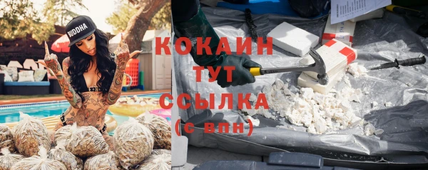 прущие грибы Балахна