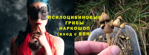 прущие грибы Балахна