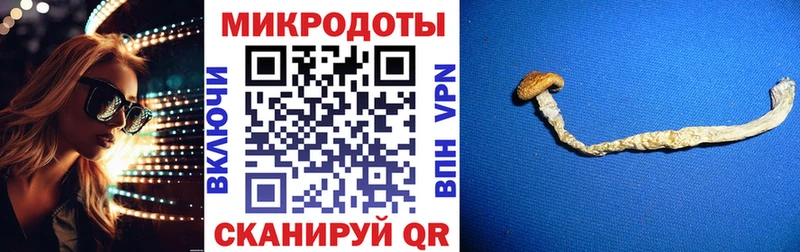 сайты даркнета Telegram  Коломна  Галлюциногенные грибы прущие грибы 