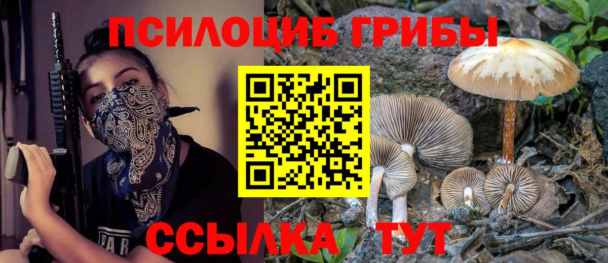 Галлюциногенные грибы Psilocybine cubensis Коломна
