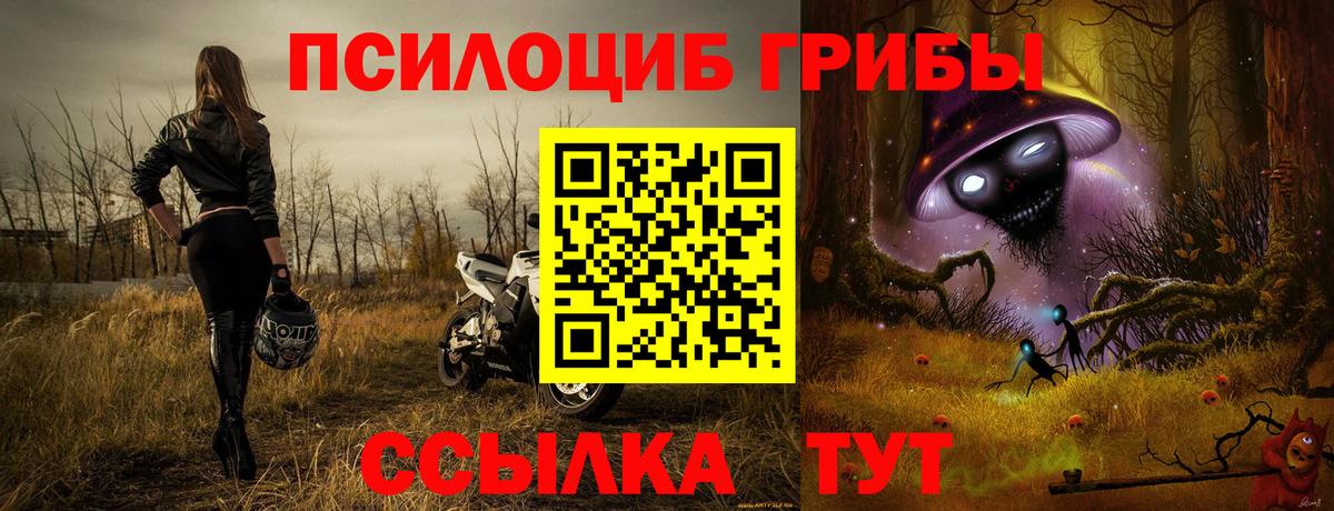 Коломна  хочу   Вход с VPN  Галлюциногенные грибы Psilocybe 